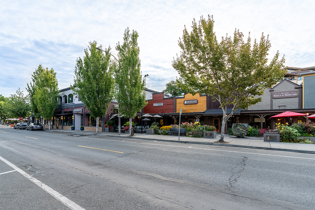 Old Mill Town – Rosen Harbottle